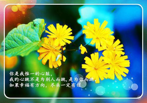 除夕后的我洛晚吟慕夜白（洛晚吟慕夜白）全文免费阅读无弹窗大结局_除夕后的我洛晚吟慕夜白小说免费最新章节列表_笔趣阁（洛晚吟慕夜白）