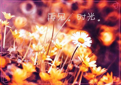时溪江瑾宸小说（时溪江瑾宸）全文免费阅读无弹窗大结局_（时溪江瑾宸免费阅读）时溪江瑾宸最新章节列表笔趣阁（时溪江瑾宸）