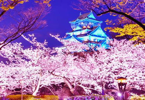 向雪而行(傅祯唐嘉)全文免费阅读大结局_向雪而行全文阅读大结局