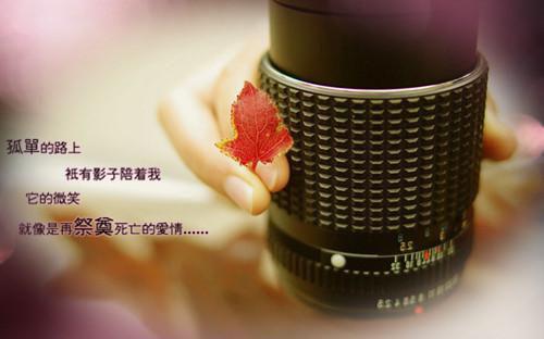 林柔烟烟小说全文免费阅读 林柔烟烟最新章节