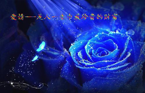 人海宿命（人海宿命）全文免费阅读无弹窗大结局_（人海宿命）人海宿命全文免费阅读_笔趣阁（人海宿命）