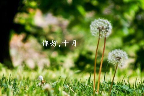 盛芸芸霍延在线阅读小说全文无删减-盛芸芸霍延小说大结局