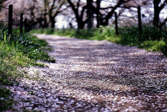 闻祈年周南枝（闻祈年周南枝）全文免费阅读无弹窗大结局_（闻祈年周南枝）闻祈年周南枝全文免费阅读最新章节列表_笔趣阁（闻祈年周南枝）