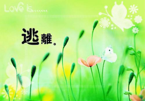 杨笑春沈浩军（你是劫数也是难小说）在线阅读全文_你是劫数也是难小说免费阅读完结版全文
