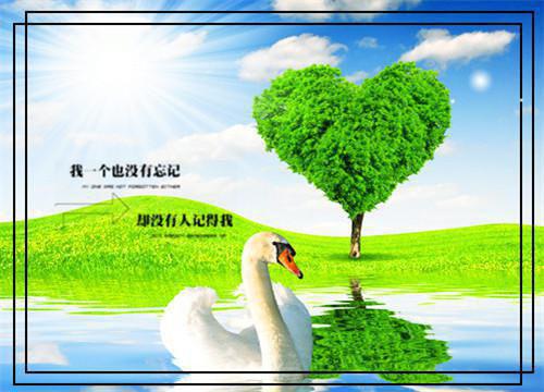 重生圣兽八歧，樱花举国之力助进化虞子瑜大木博士小说(完整)免费阅读