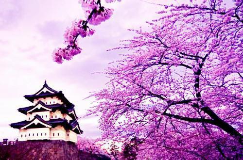 灾难通知（陈希陆梦）全文免费阅读无弹窗大结局_（灾难通知陈希陆梦全文免费阅读无弹窗）灾难通知最新章节列表_笔趣阁（灾难通知）