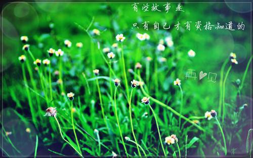 迟兮瑶崔珝重生小说全文免费阅读大结局_（迟兮瑶崔珝重生）小说全文最新章节