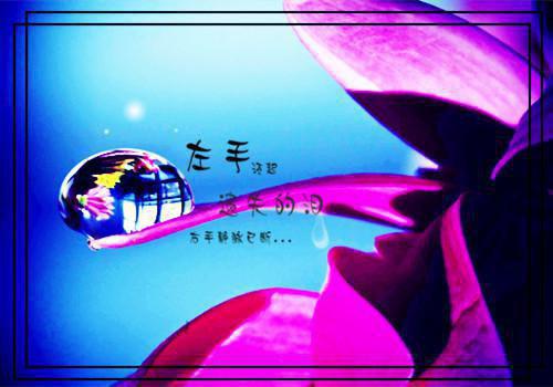 甜美思恋（宋文允陆念卿）全文免费阅读大结局_甜美思恋全文阅读（宋文允陆念卿）