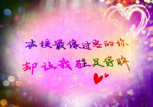 宋雅沈忱（宋雅沈忱）全文免费阅读无弹窗大结局_ 宋雅沈忱（茶茶达人小说 免费阅读）最新章节列表_笔趣阁（茶茶达人小说 ）