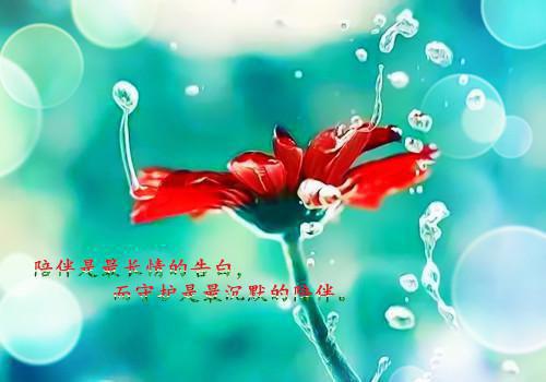 暗恋多年的竹马终于回国了（周晗林泽）全文免费阅读无弹窗（暗恋多年的竹马终于回国了小说全文免费阅读）周晗林泽最新章节列表笔趣阁（暗恋多年的竹马终于回国了）