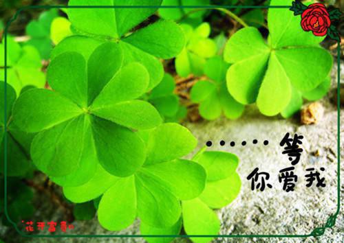 沐安柠傅司珩（沐安柠傅司珩）全文免费阅读无弹窗大结局_(沐安柠傅司珩免费阅读全文大结局)最新章节列表_笔趣阁（沐安柠傅司珩）