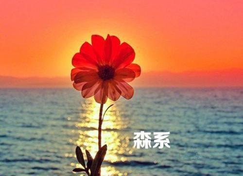 乔言顾烨霆小说（乔言顾烨霆）全文免费阅读_（乔言顾烨霆）小说最新章节列表_笔趣阁（乔言顾烨霆）