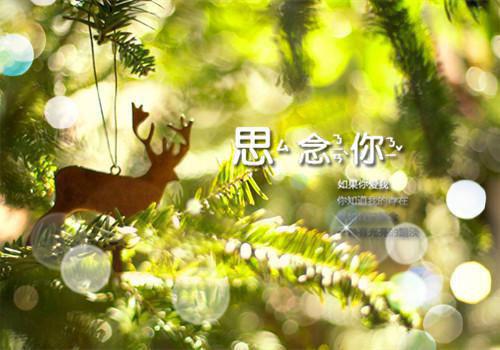 烈火焚天小说免费阅读（烈火焚天小说免费阅读）全文免费无弹窗大结局_烈火焚天小说免费阅读（烈火焚天小说免费阅读）最新章节目录笔趣阁（烈火焚天小说免费阅读）