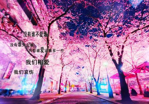 等等月光冉冉宋时砚周月月（冉冉宋时砚周月月）全文免费阅读无弹窗大结局_等等月光冉冉宋时砚周月月小说（冉冉宋时砚周月月）最新章节列表_笔趣阁（冉冉宋时砚周月月）