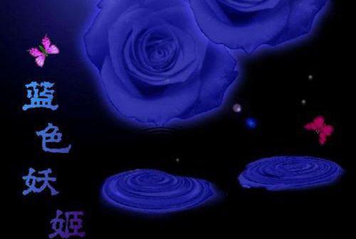 你是不是不想离小说（沈淮楚念予）全文免费阅读无弹窗大结局_ 你是不是不想离小说在线阅读