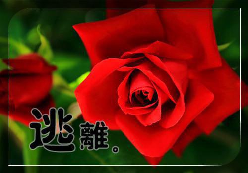 积极阳光正能量的励志句子