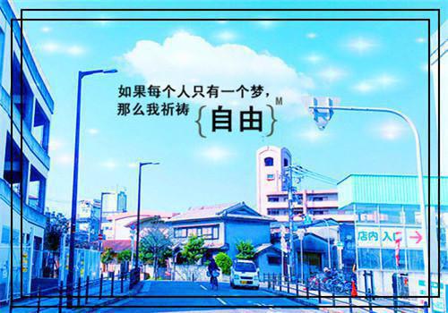 不见忧怜（宁琪陆昂芝芝）全文免费阅读无弹窗大结局_（宁琪徐漾）不见忧怜最新章节列表_笔趣阁（宁琪徐漾）
