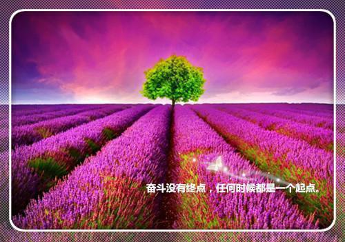 后劲案件全文免费阅读无弹窗大结局_（后劲案件刘来娣刘子毅）后劲案件最新章节列表笔趣阁（后劲案件）