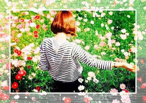 林洛清季屿霄（林洛清季屿霄机长）全文免费阅读无弹窗大结局_林洛清季屿霄机长全文免费阅读（林洛清季屿霄）最新章节列表_笔趣阁（林洛清季屿霄）