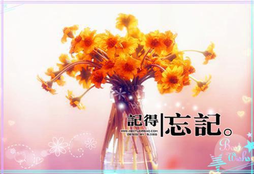 青子羽温友儿是哪部小说的主角 青子羽温友儿全文阅读