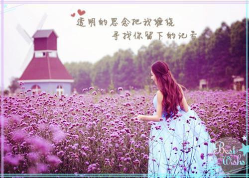 (云烟海棠小说)全文免费阅读无弹窗大结局_(云烟海棠小说免费阅读全文大结局)最新章节列表_笔趣阁（云烟海棠小说）