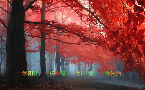 姜珏唐月初（哥哥的道歉）全文免费阅读无弹窗大结局_（姜珏唐月初）哥哥的道歉全文免费阅读最新章节列表_笔趣阁（哥哥的道歉）