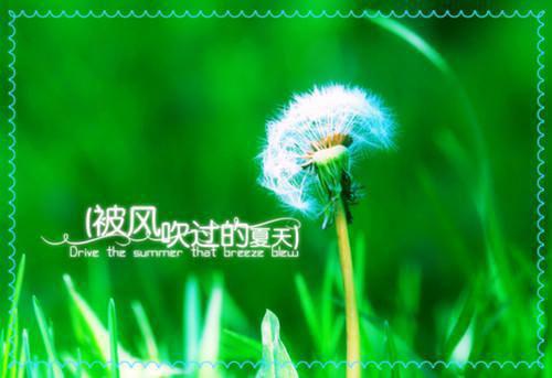 我在末世揣崽崽全文免费阅读_ 苏酥叶昱最新章节
