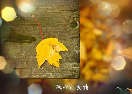 热恋嫂子（江袅陈竟行）全文免费阅读无弹窗大结局_（江袅陈竟行）热恋嫂子免费阅读无弹窗最新章节列表_笔趣阁（江袅陈竟行）