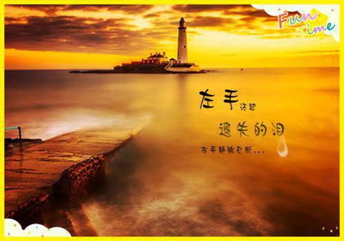 沈安白顾宴京棠黎小说 沈安白顾宴京棠黎完整版免费阅读