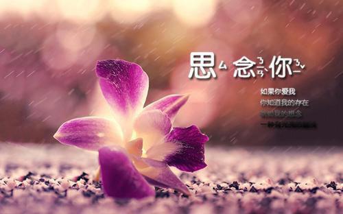 不再一世一双人小说（江苑儿霍深）全文免费阅读无弹窗大结局_（江苑儿霍深）不再一世一双人小说最新章节列表_笔趣阁（江苑儿霍深）