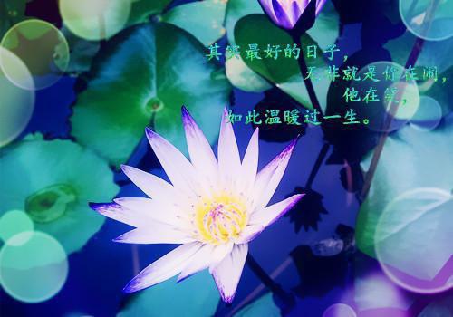 (番外)+(全文)沈逸云江嘉苒小说免费下载阅读_(沈逸云江嘉苒)沈逸云江嘉苒最新章节列表_笔趣阁（沈逸云江嘉苒）