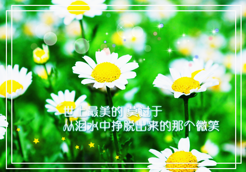 我把你当哥哥，你居然想娶我？小说全文_（夜千珩阮柒柒）小说免费阅读