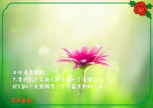 苏安黎陆禹东全文免费阅读无弹窗大结局_(苏安黎陆禹东)苏安黎陆禹东小说免费阅读最新章节列表笔趣阁（苏安黎陆禹东）