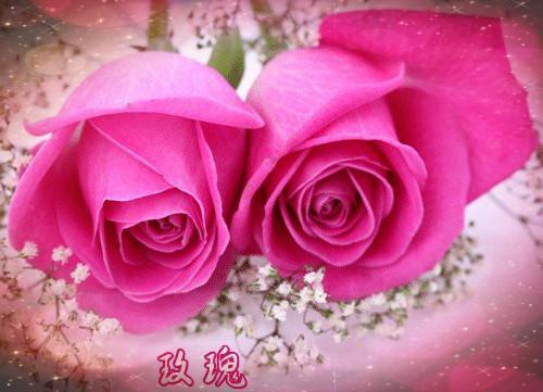 深情给错小说免费阅读（何彦婉玥雍丽 ）全文免费阅读无弹窗大结局_（深情给错）何彦婉玥雍丽最新章节列表_笔趣阁（深情给错 ）